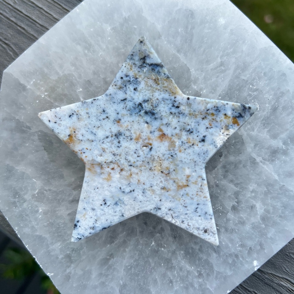 Sea Jasper Star